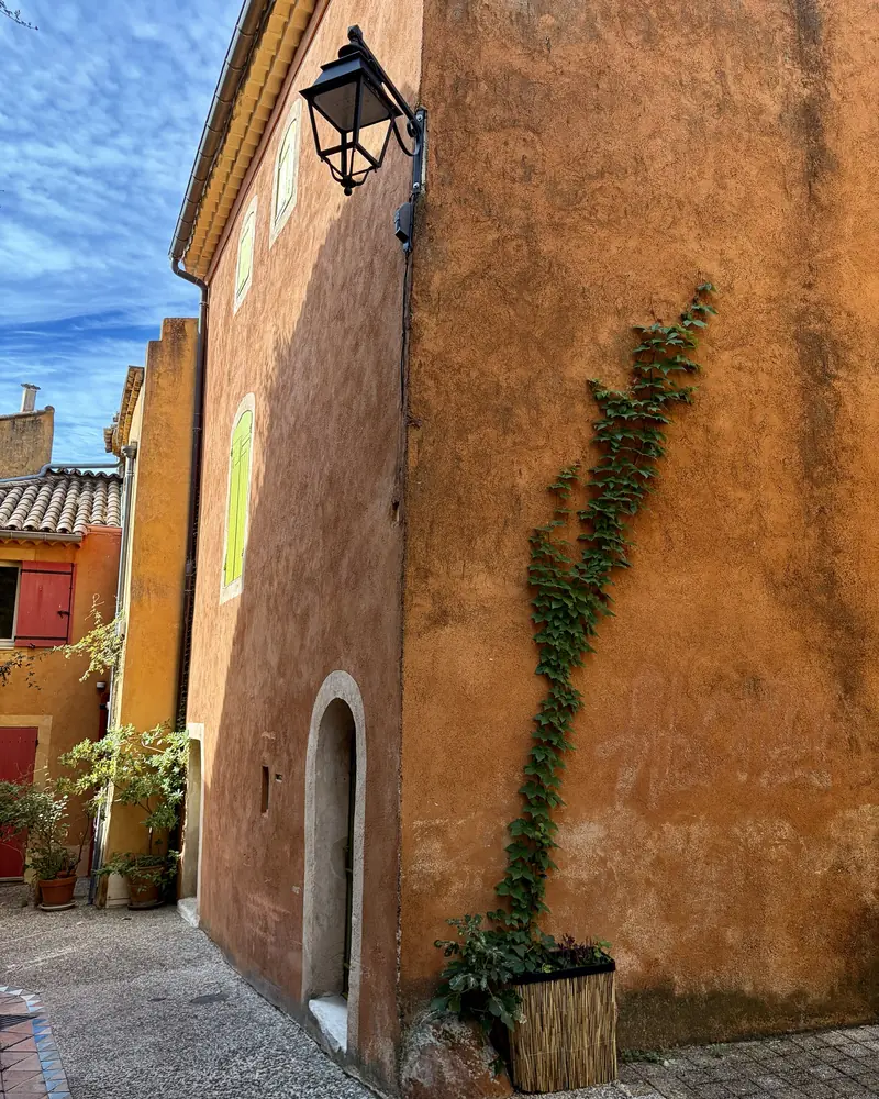 A slim climbing vine on an ochre-rendered wall with a black wrought-iron street lantern, under a blue sky