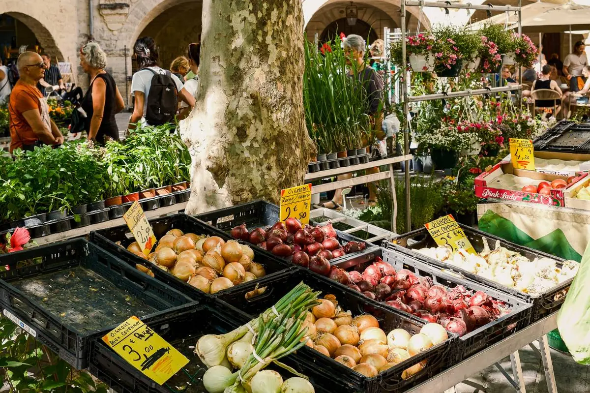 Crates of onions on a market stall, with plant stalls and a plane tree on a square with stone arcades