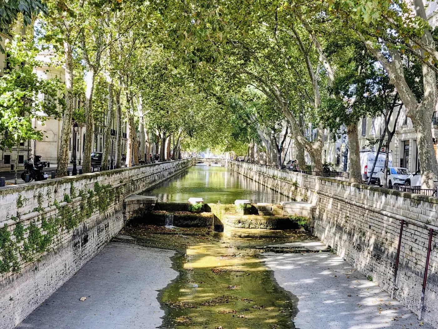 The Canal de la Fontaine in Nîmes, lined with plane trees