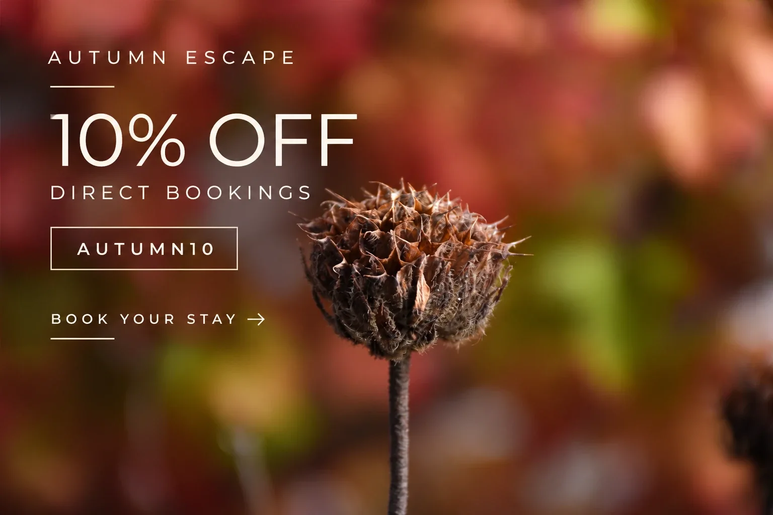 Autumn Escape: 10% off direct bookings with code AUTUMN10.