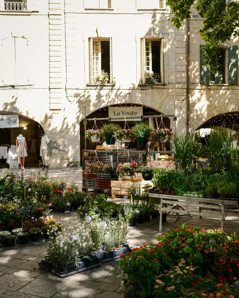 Flower and plant stalls on a market morning in Uzès, in front of a pale stone arcade