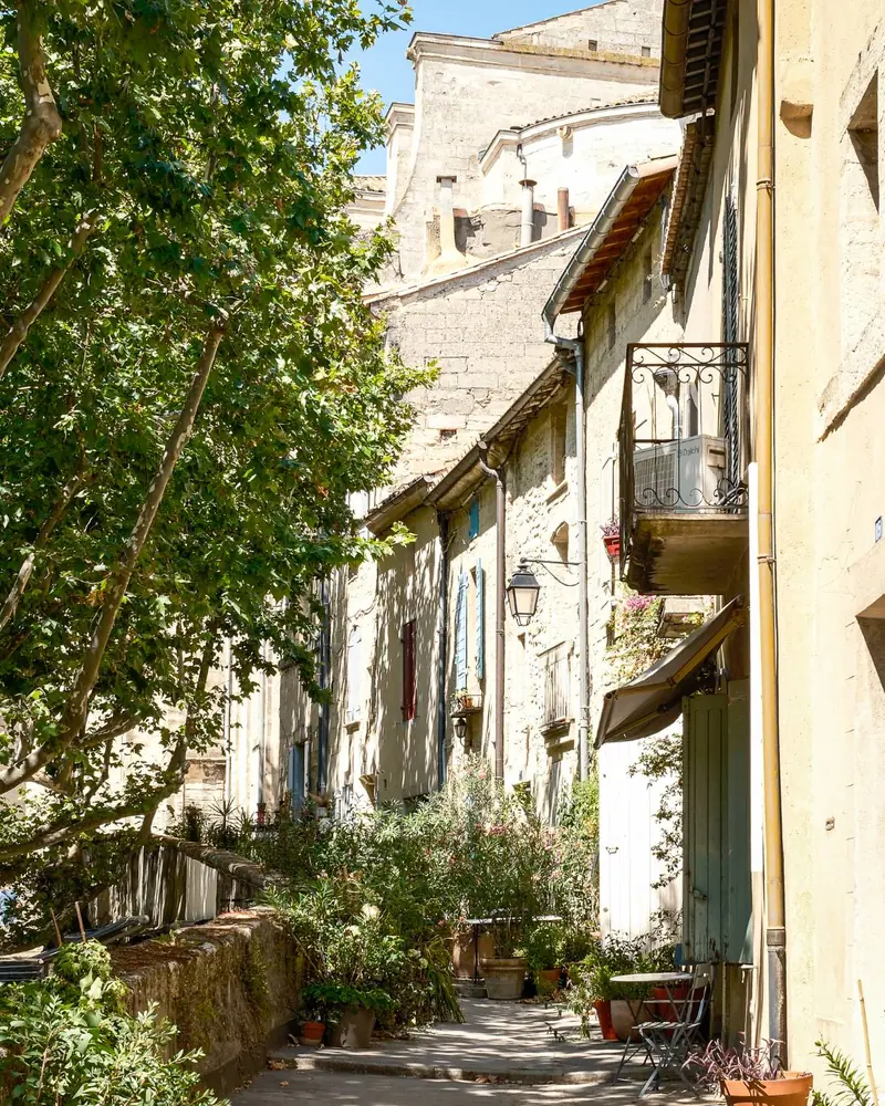 A shady lane in the old town of Uzès, lined with stone houses, potted plants and a leafy tree